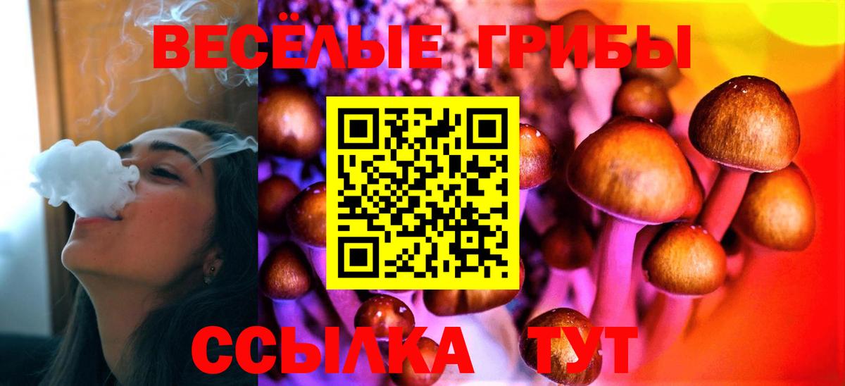 купить наркотики цена  Вход с VPN  Красноярск  Галлюциногенные грибы Psilocybine cubensis  Псилоцибиновые грибы Psilocybine cubensis 
